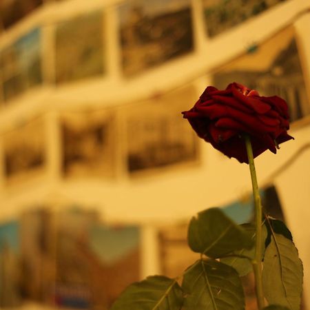 Moosica Hostel Τυφλίδα Εξωτερικό φωτογραφία